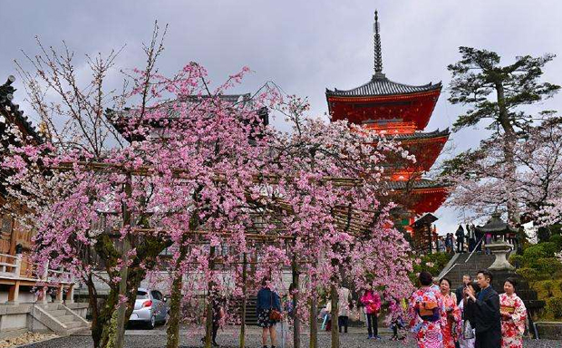 ��������ѧϰ