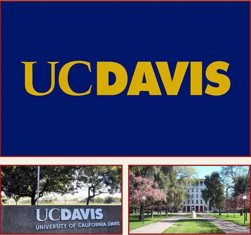 ���ݴ�ѧ��ά˹��У��UCD�����ݴ�ѧ��ά˹��У��UCD��